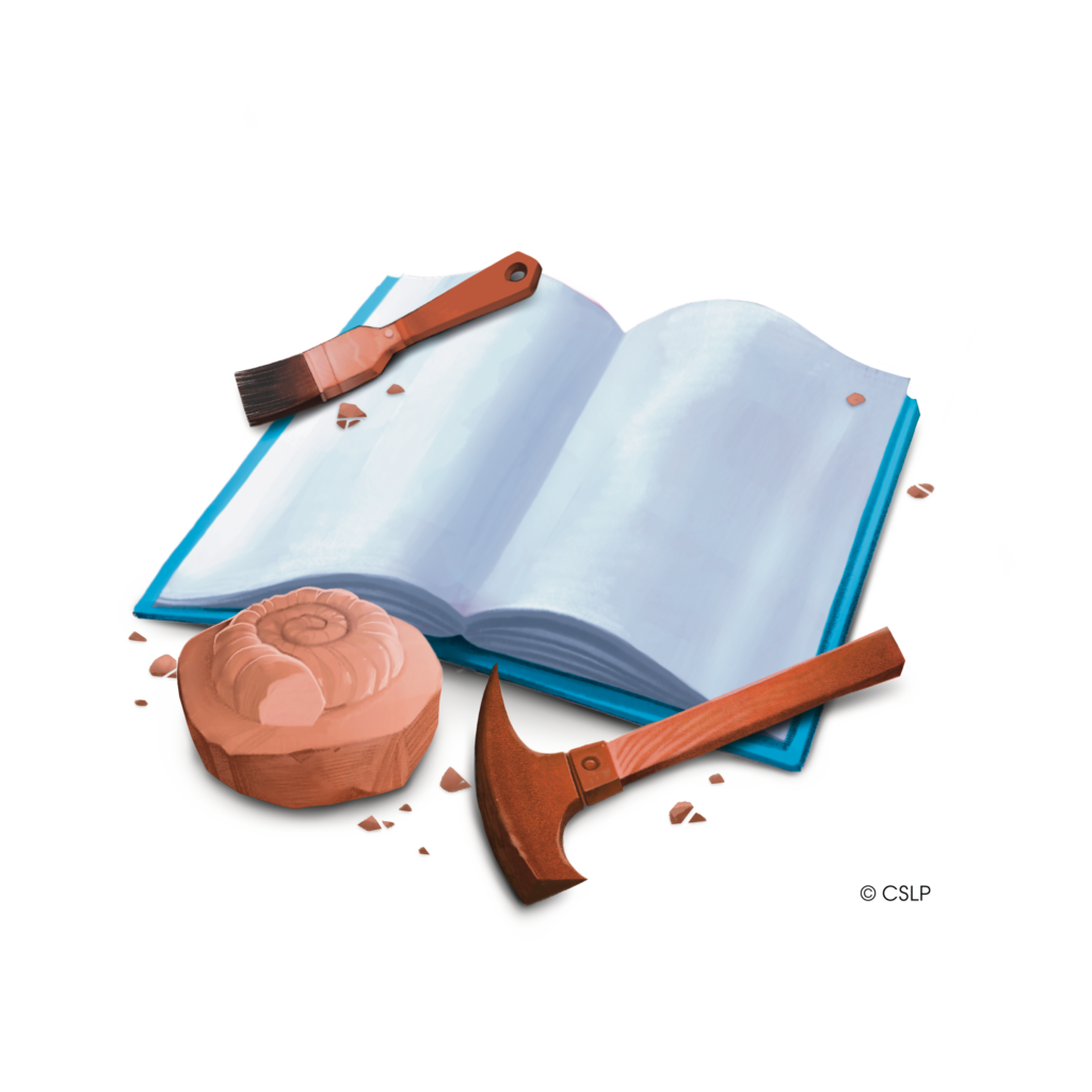 book with archaeology tools