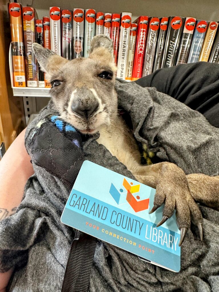 Kangaroo holds a library card